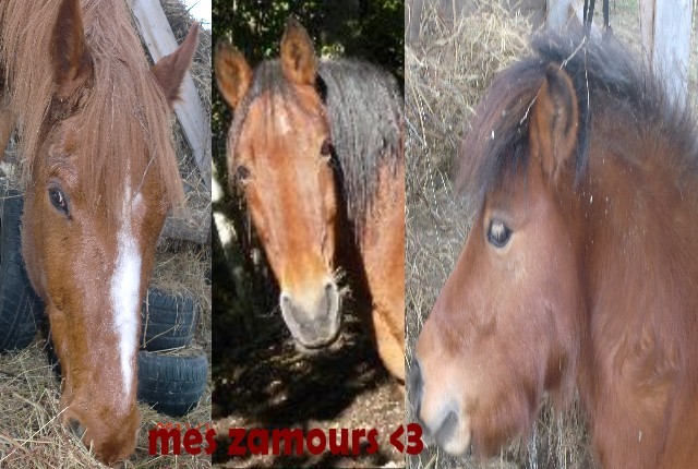 Photo de profil de oceane43