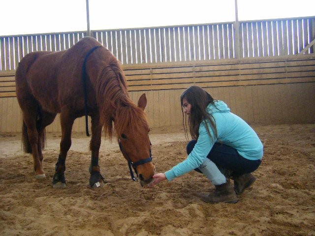 Photo de profil de lapetiterousse