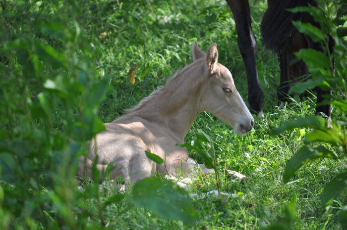 Photo de profil de opale76