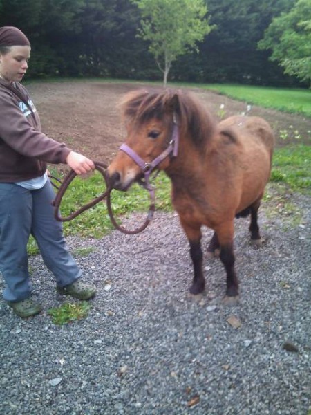 Photo de profil de cicou23