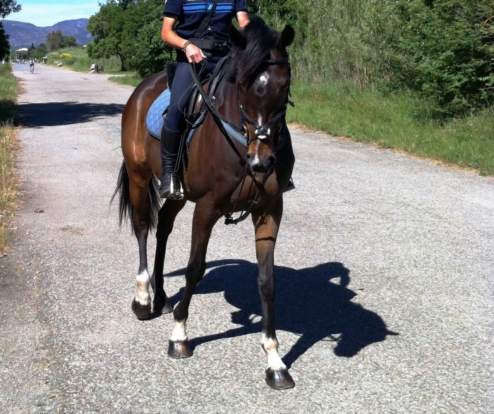 Photo de profil de sabrounips