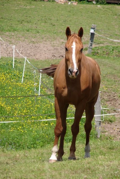 Photo de profil de neptune007