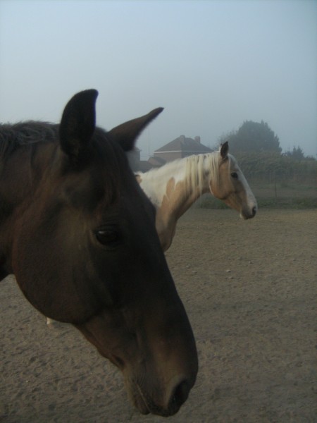 Photo de profil de kelly13