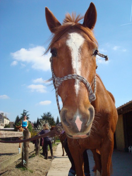 Photo de profil de aalice