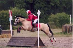 Photo de profil de pourlesponey