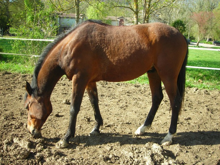 Photo de profil de karine47