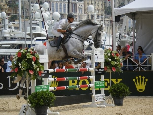 Photo de profil de gyvatop