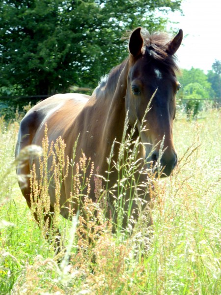 Photo de profil de margoo