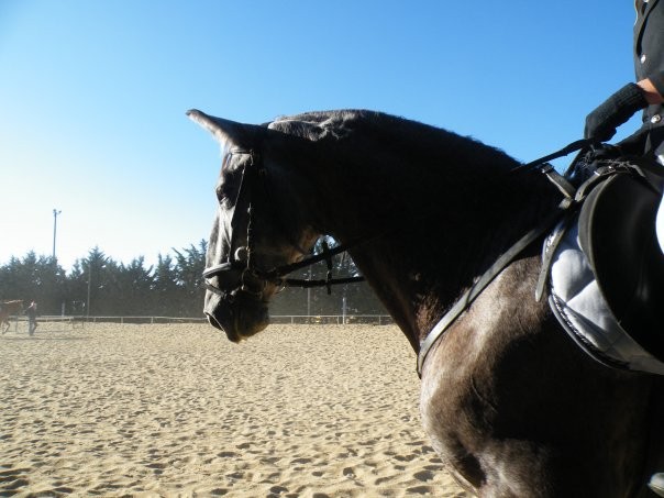 Photo de profil de lunaca