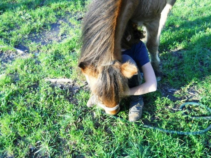 Photo de profil de monptitnounours