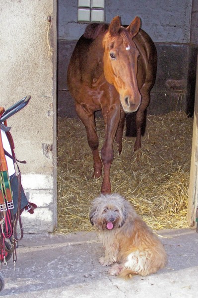 Photo de profil de christinequite