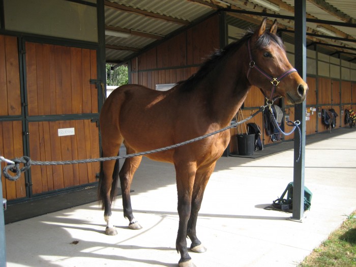 Photo de profil de luciet