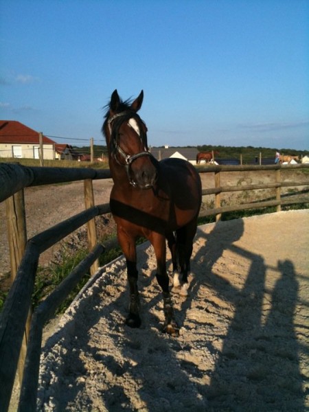 Photo de profil de dg57