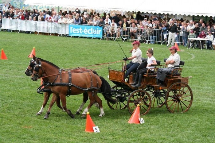 Photo de profil de berloufer