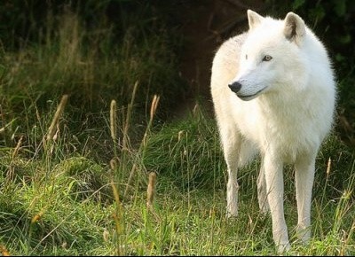 Photo de profil de ptiteemeline62