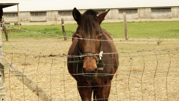 Photo de profil de chichou27