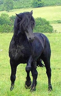 Photo de profil de larafri