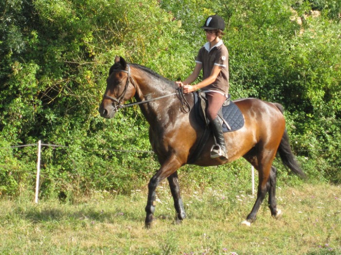 Photo de profil de smirty