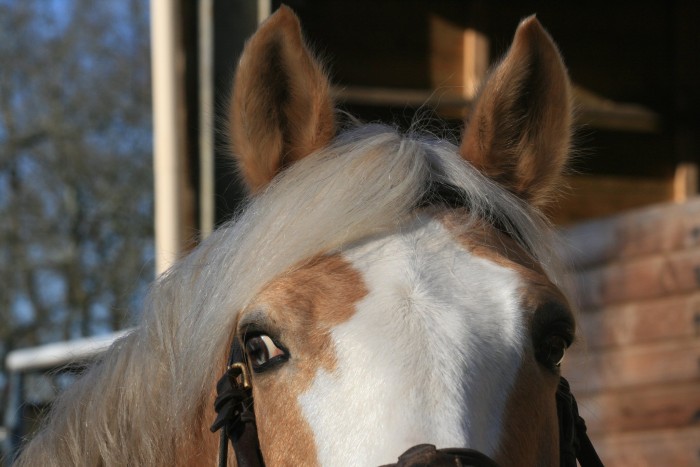 Photo de profil de eclairlabree