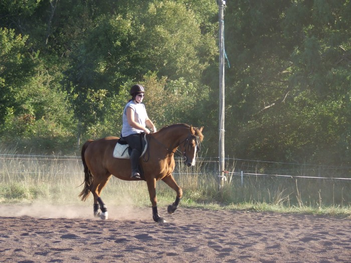 Photo de profil de soledad