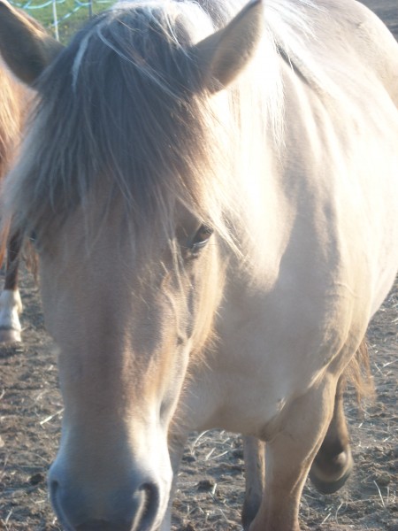 Photo de profil de blue_erasure