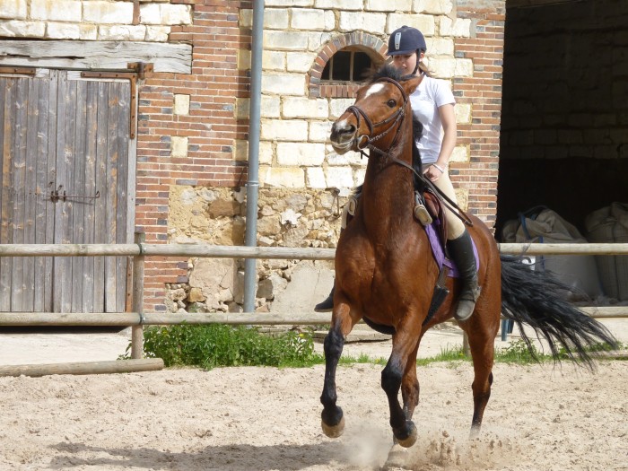 Photo de profil de helloise