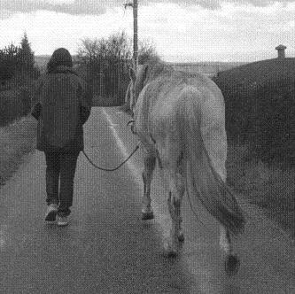 Photo de profil de shaman