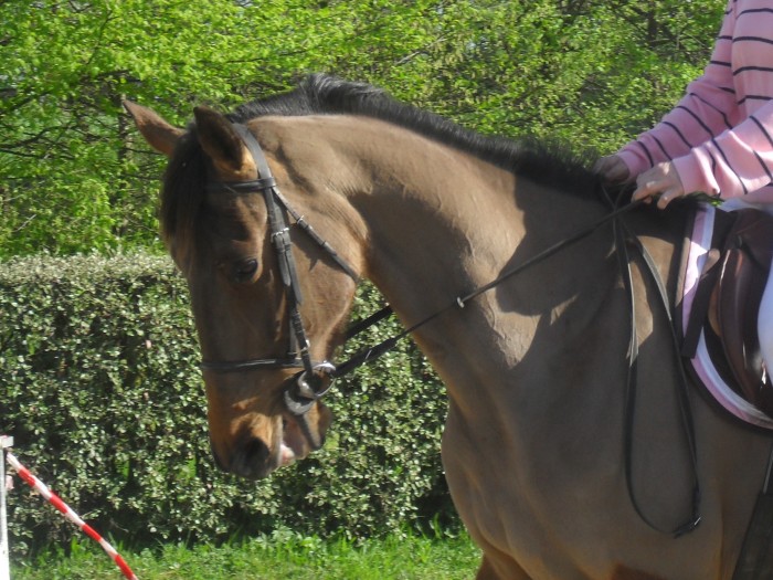 Photo de profil de speedytwist