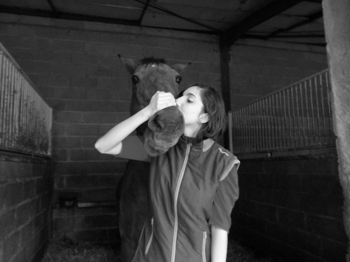 Photo de profil de espritchevaux