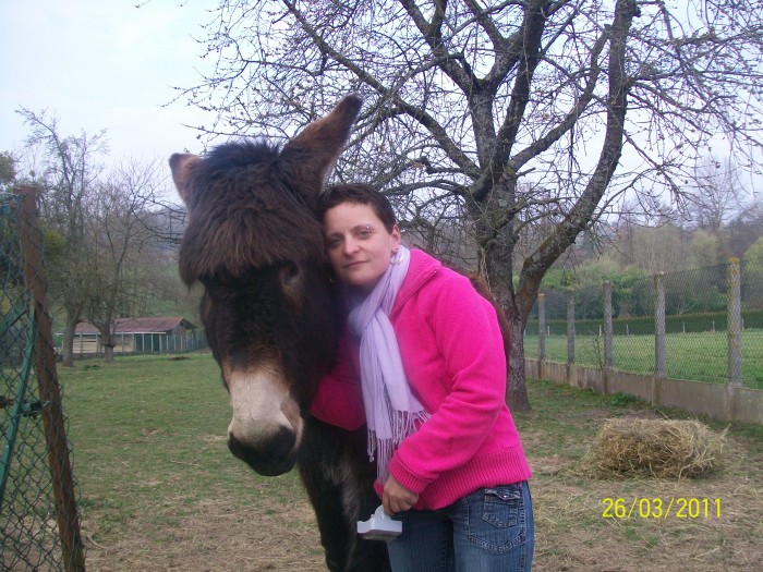 Photo de profil de biscotto