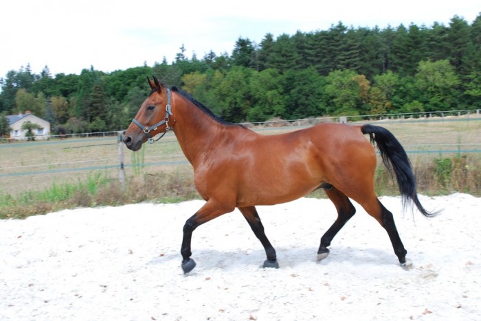 Photo de profil de lynec45