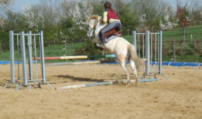 Photo de profil de ocarina_1