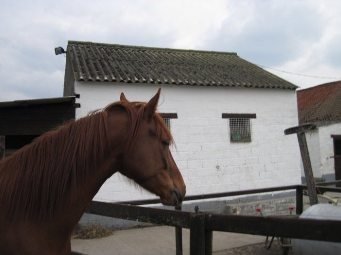 Photo de profil de alessa2537