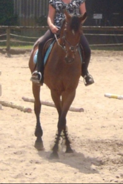 Photo de profil de bibounedoudou95