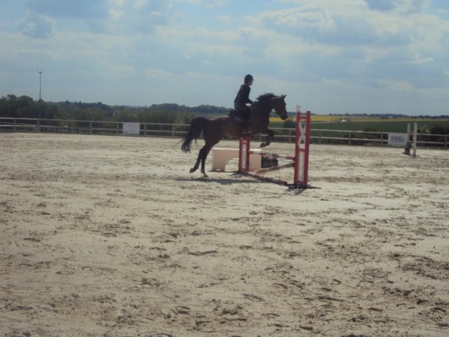 Photo de profil de dream
