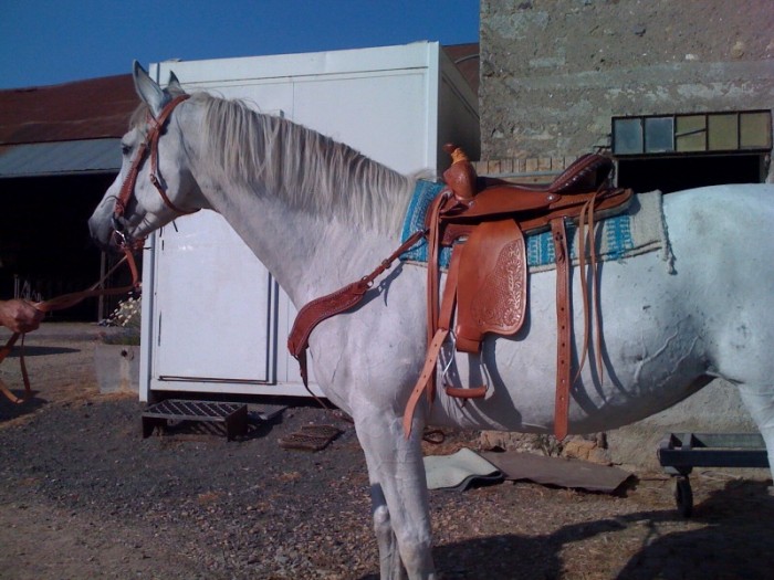 Photo de profil de gousse