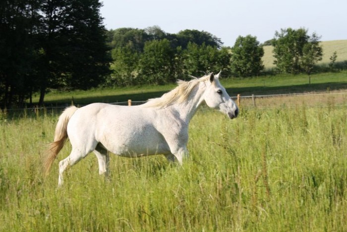 Photo de profil de sanalane