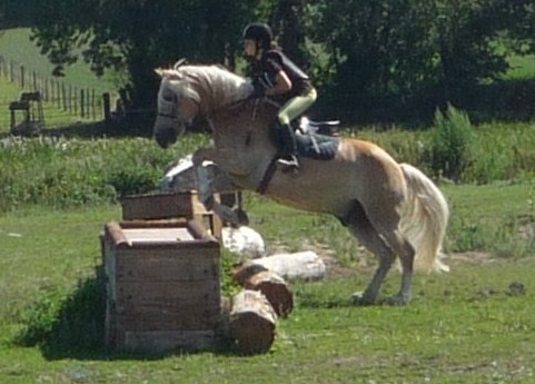 Photo de profil de lysouille