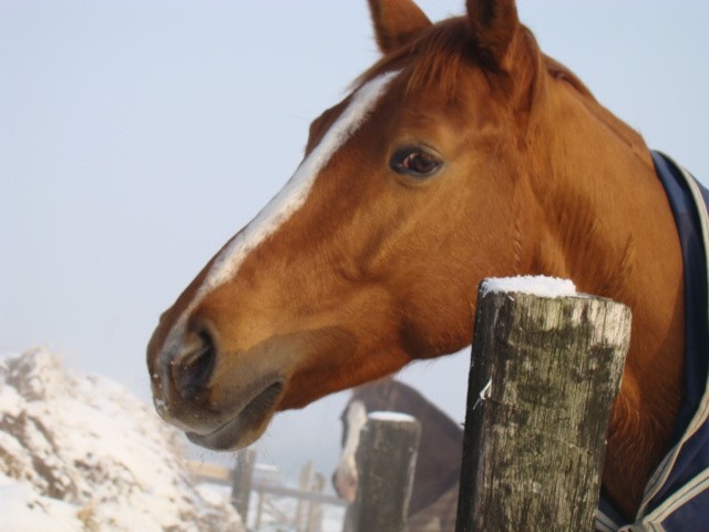 Photo de profil de mounettesusu