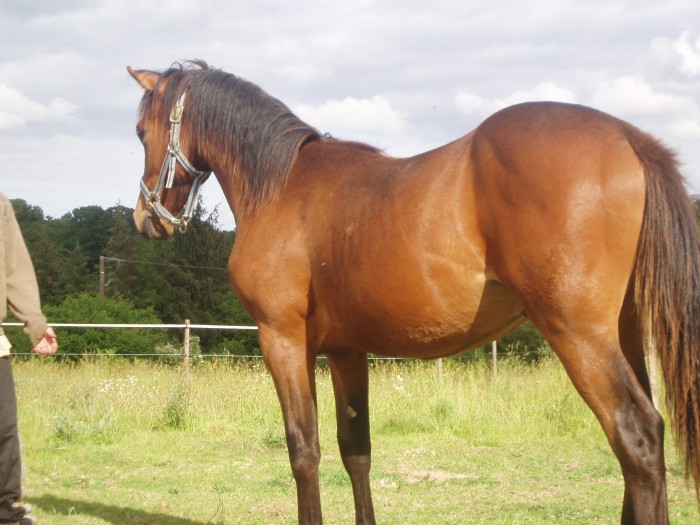 Photo de profil de elo22160