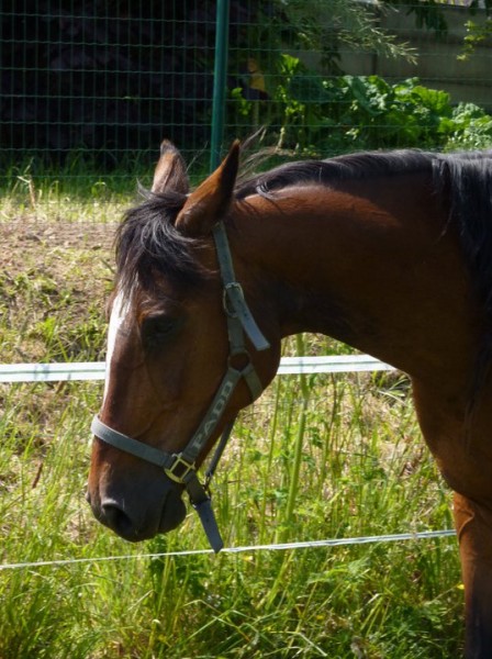 Photo de profil de bandoffriends