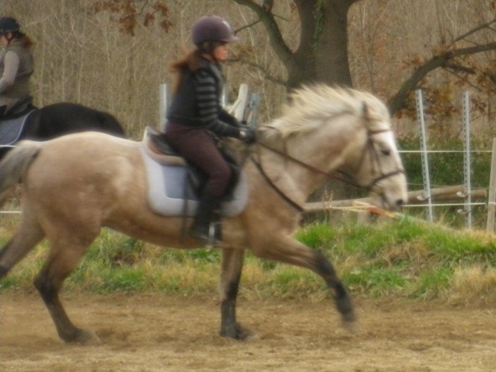 Photo de profil de karukera