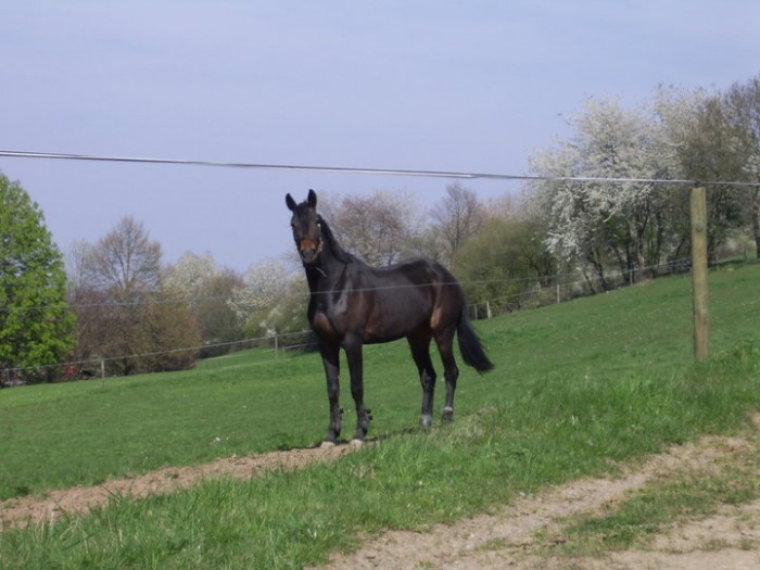 Photo de profil de meyrin