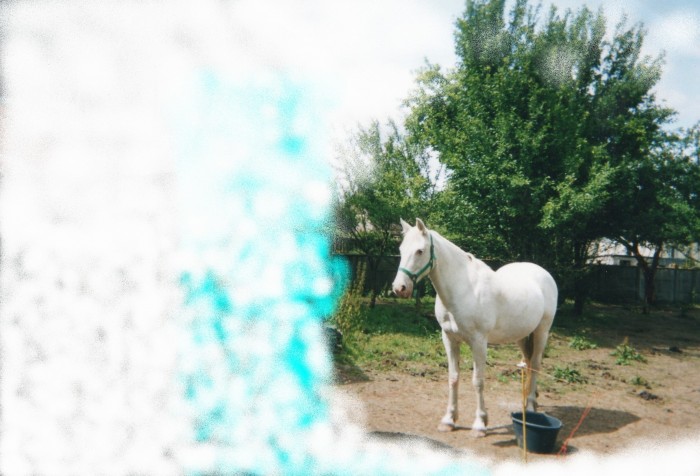 Photo de profil de belledecapas