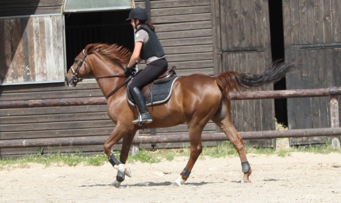 Photo de profil de titima77