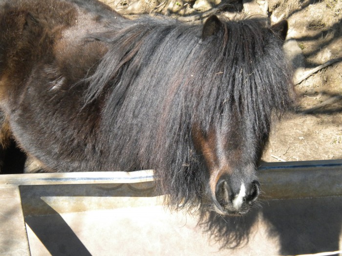 Photo de profil de anonyme56