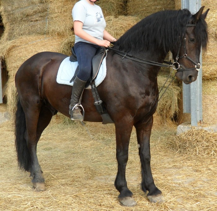 Photo de profil de anncha