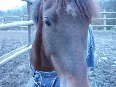 Photo de profil de misclem