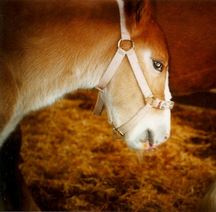 Photo de profil de cassie07