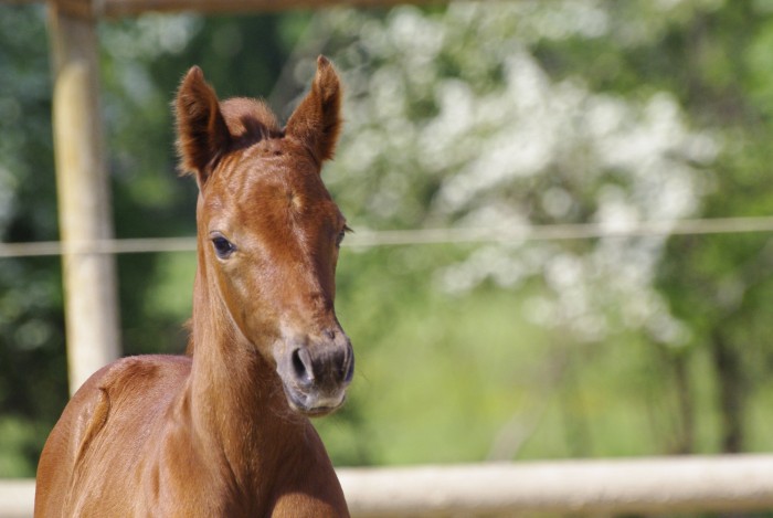 Photo de profil de laure.place